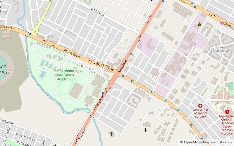 Bole Medhanealem location map