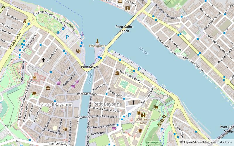 Museo Bonnat location map