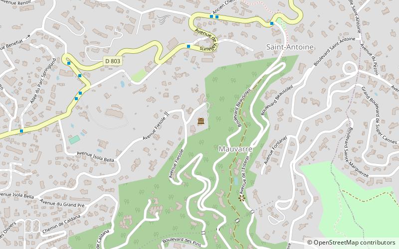 villa domergue cannes location map