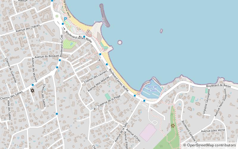 plage de la salis antibes location map