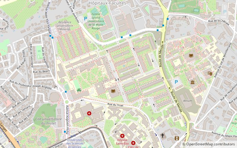 University of Montpellier location map