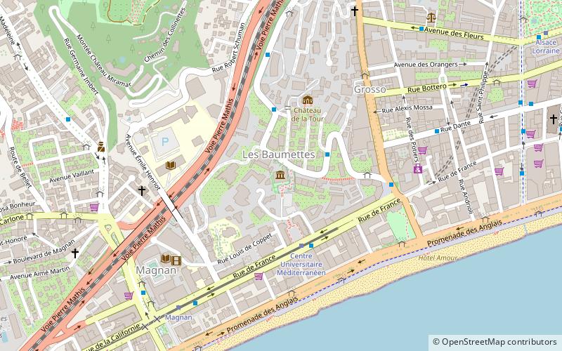 Musée des Beaux-Arts de Nice location map