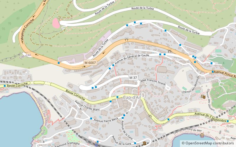 Cap-d'Ail location map