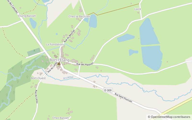 Bort-l’Étang location map