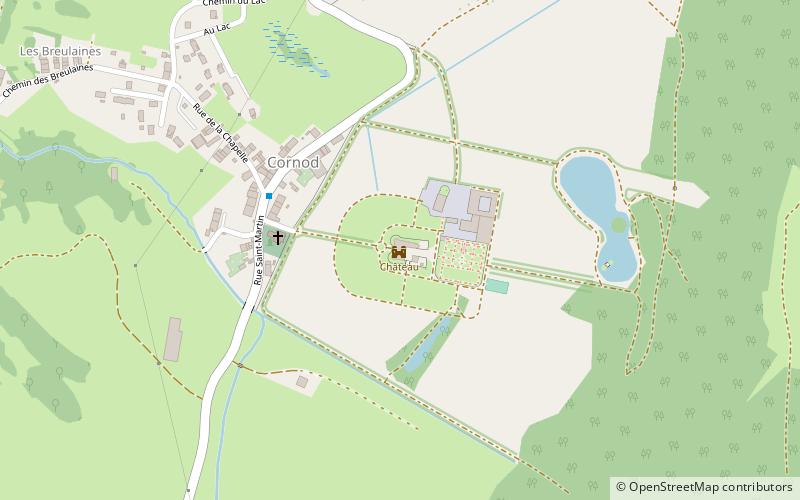 Château de Cornod location map