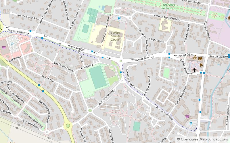 Chevigny-Saint-Sauveur location map