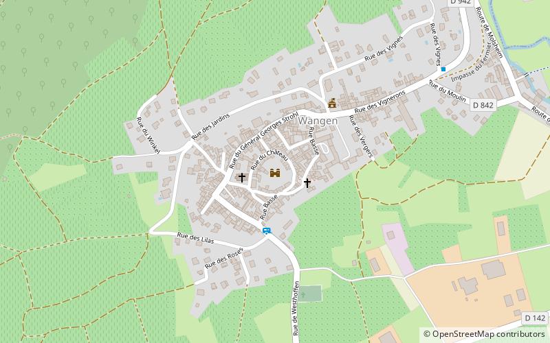 burg wangen location map