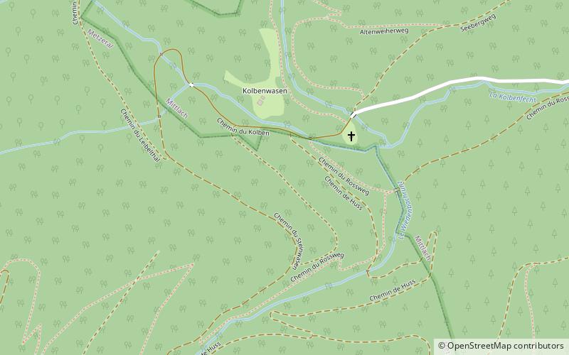 Cordillera de los Vosgos location map