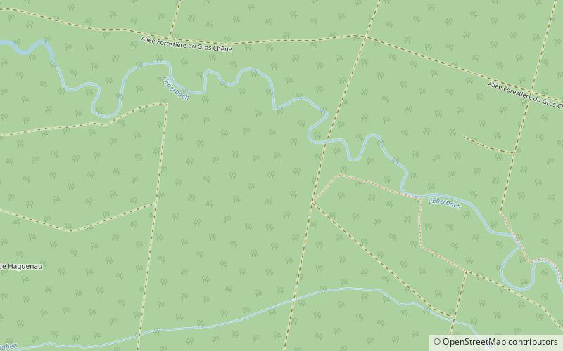 Forest of Haguenau location map