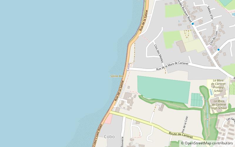 saline bay location map