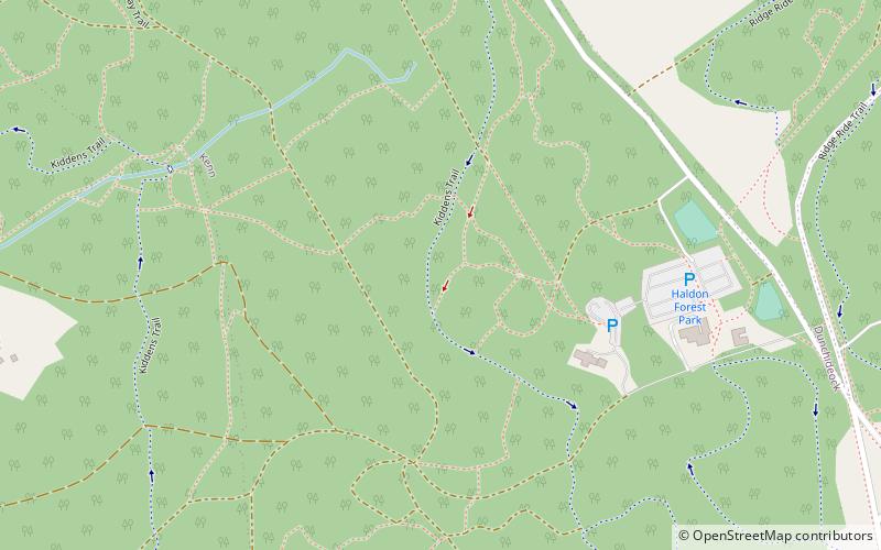 Haldon Forest location map