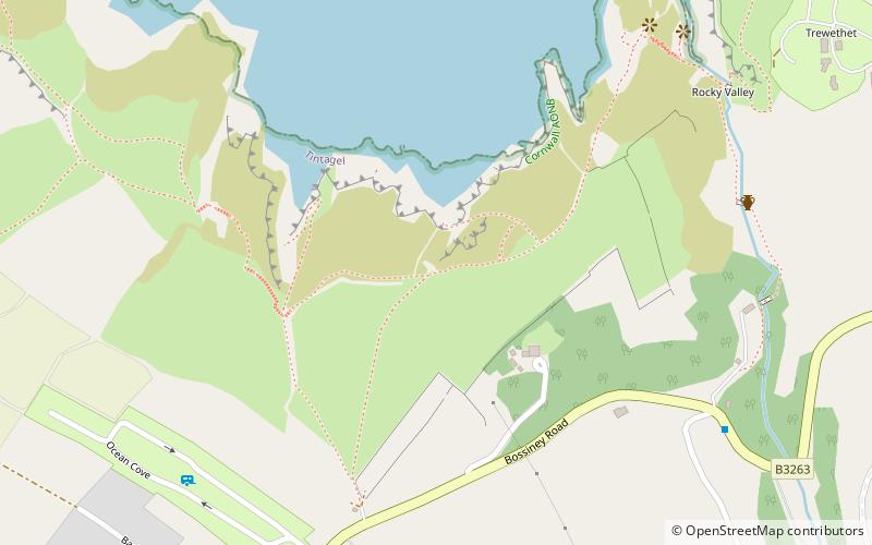 Bossiney Haven location map