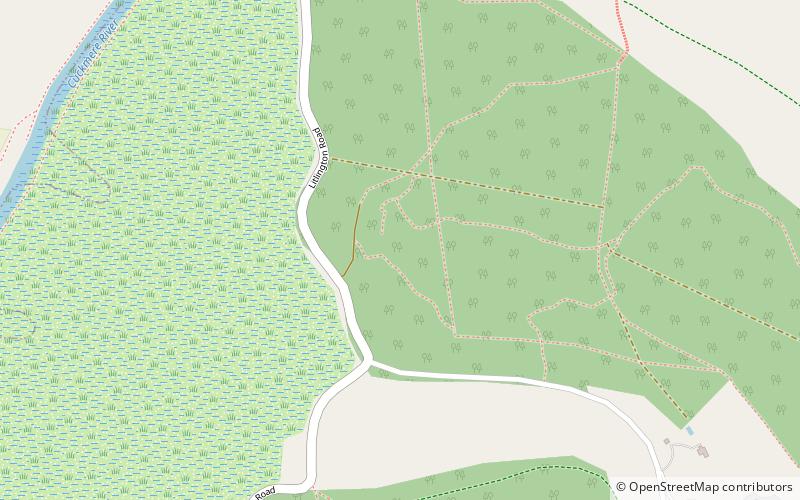 Friston Forest location map