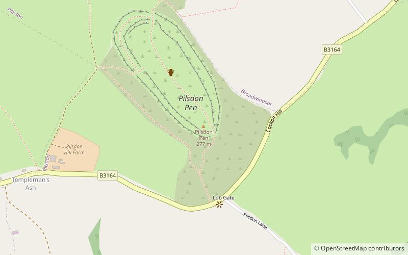 Pilsdon Pen location map