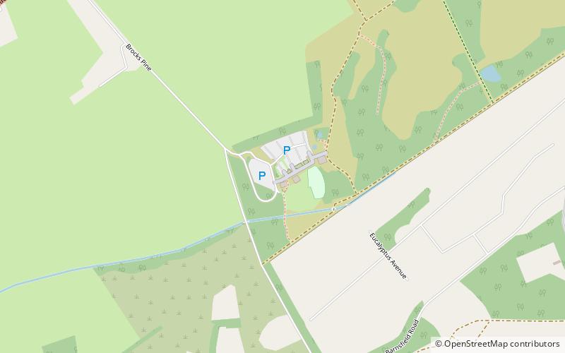Avon Heath Country Park location map
