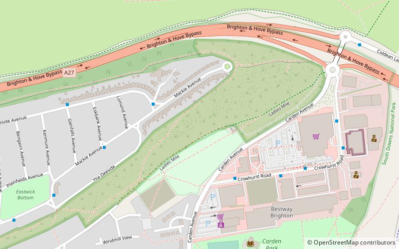 Ladies Mile location map