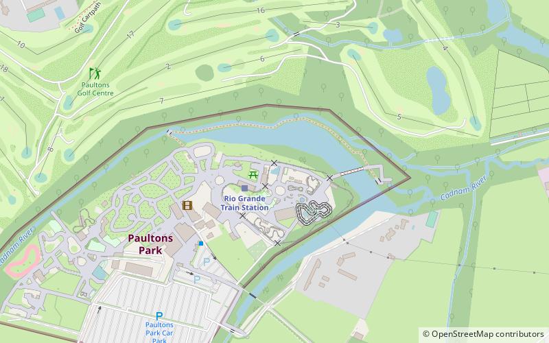 penguins new forest location map