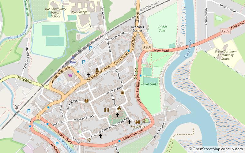 rye austin friary location map
