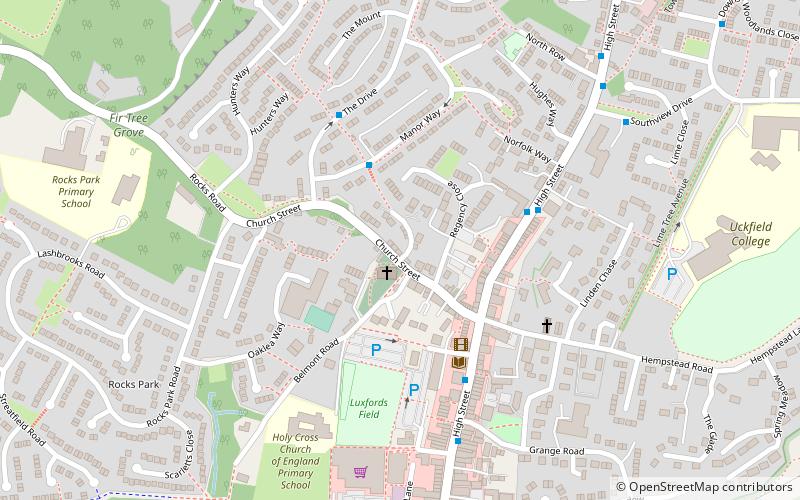 copping hall uckfield location map