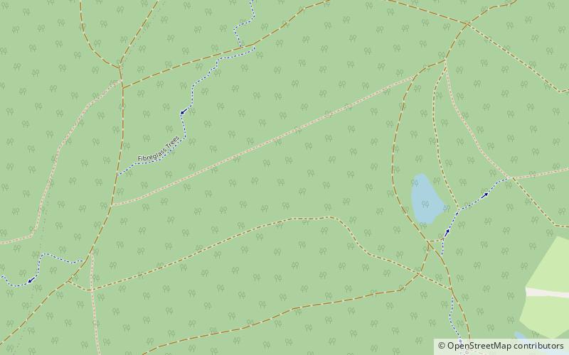 Bedgebury Forest location map