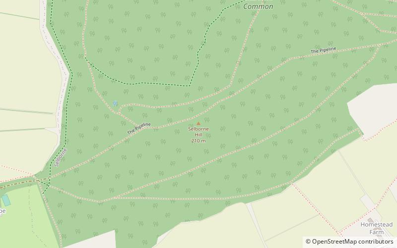 Selborne Hill location map