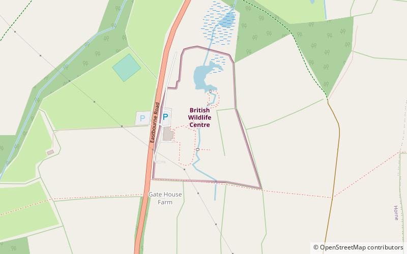 British Wildlife Centre location map