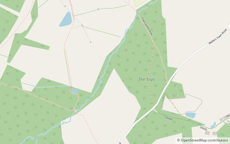 Chiddingstone location map