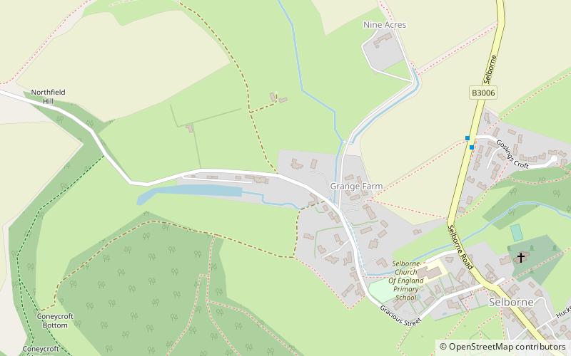 Selborne Common location map