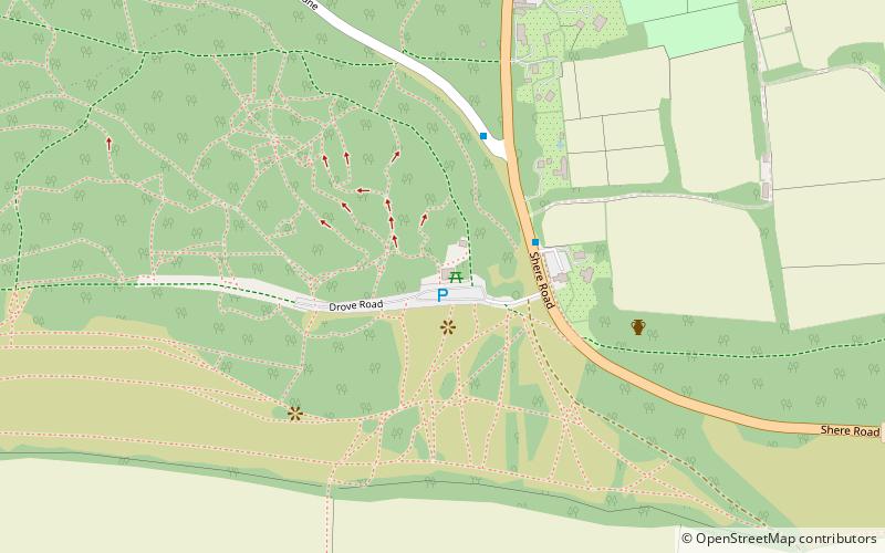 Newlands Corner location map