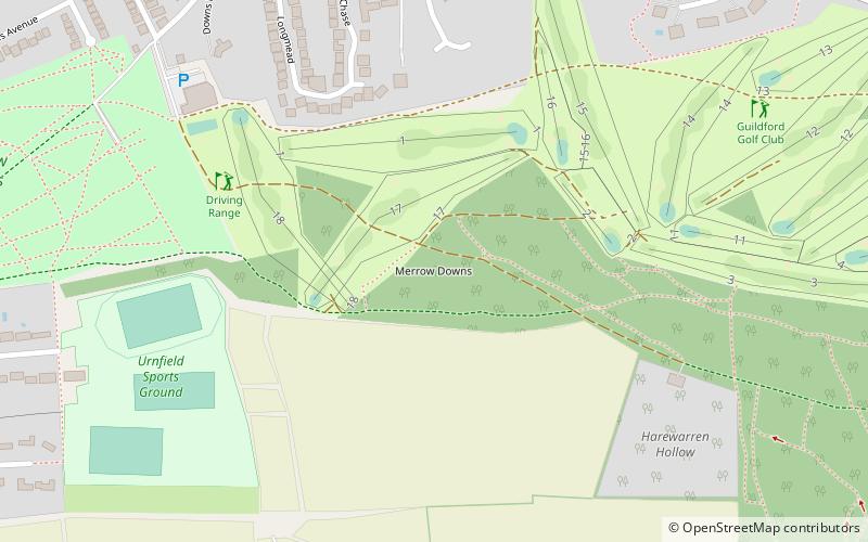 merrow downs guildford location map