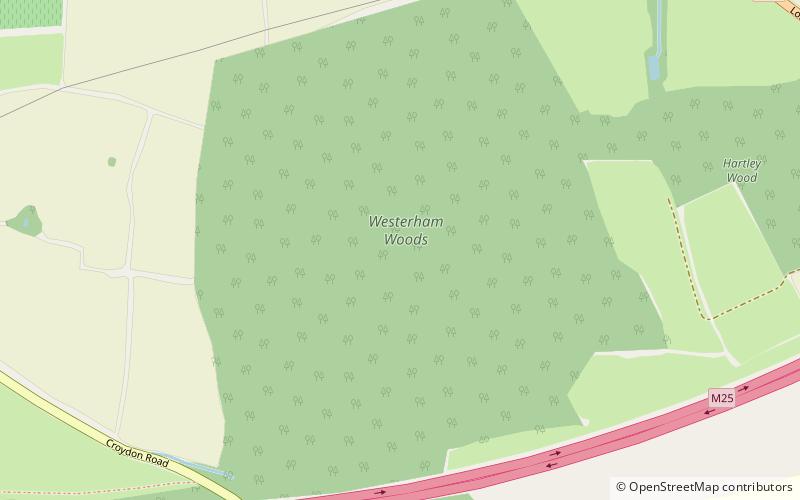 Westerham Wood location map