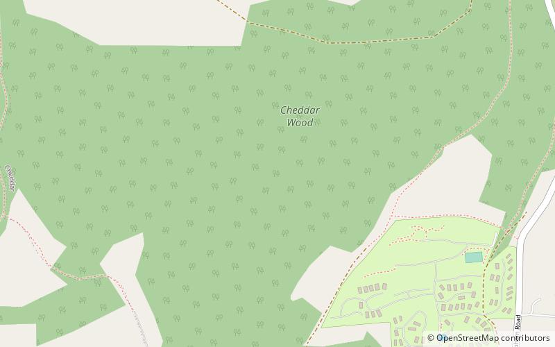 Cheddar Wood location map