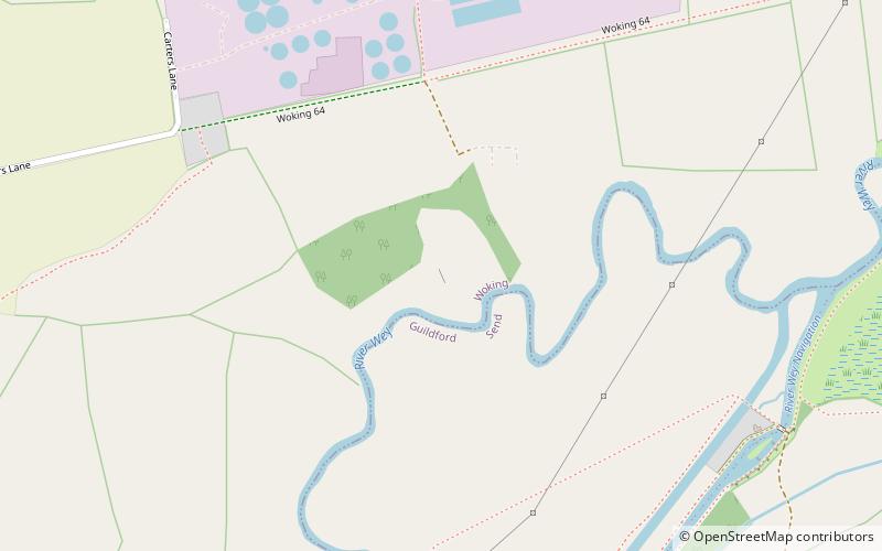 Woking Palace location map