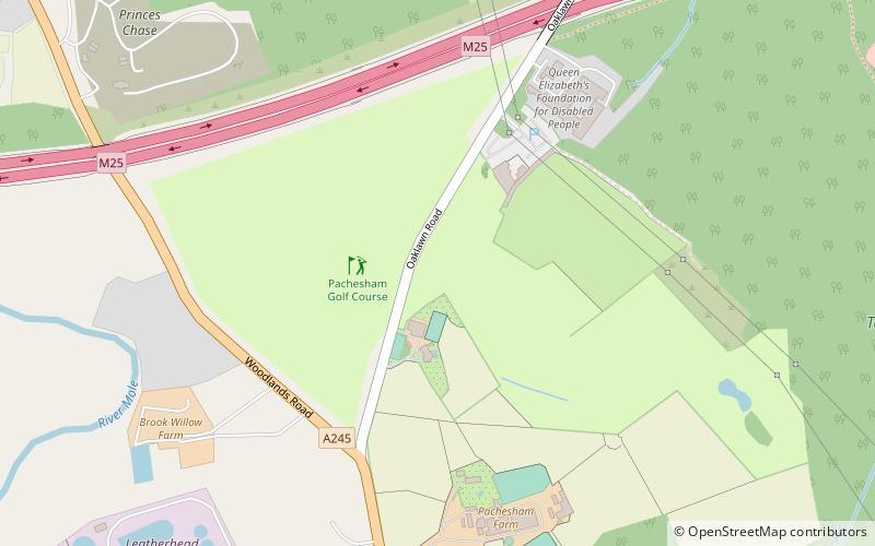 Pachesham Golf Centre location map