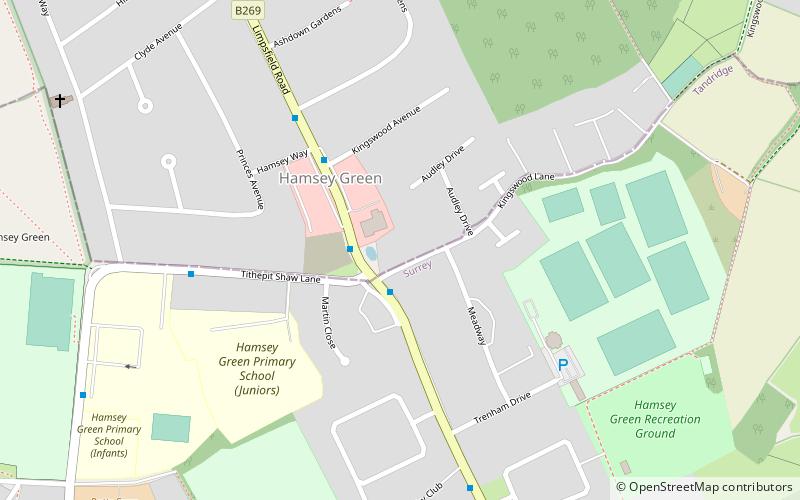 Hamsey Green location map