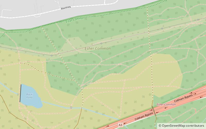 Esher Commons location map