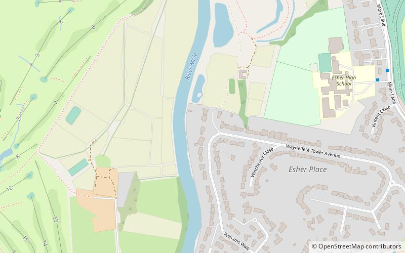 Esher Place location map
