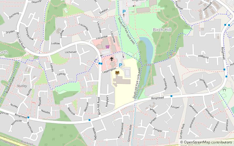 birch hill primary school bracknell location map