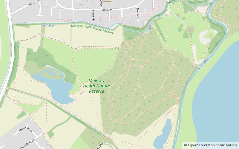 Molesey Heath location map