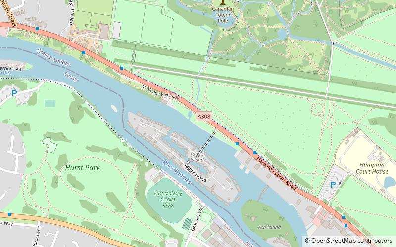 st albans riverside molesey location map