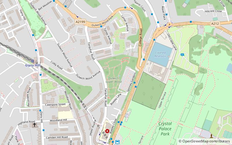 Dulwich Upper Wood location map
