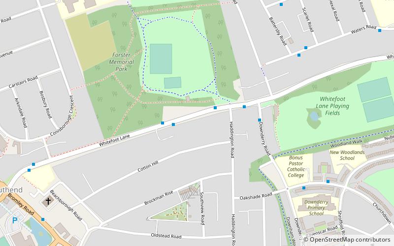 Forster Memorial Park location map