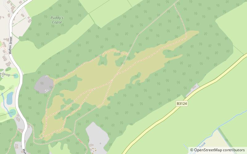 Walton Common banjo enclosure location map