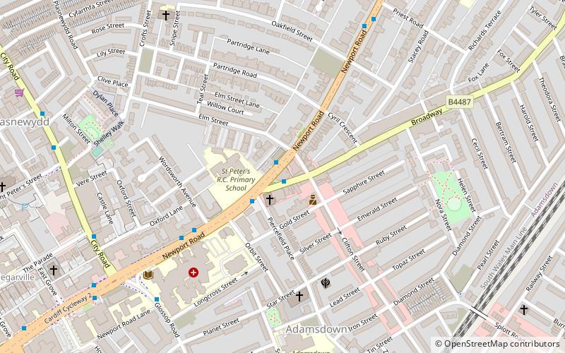 Roath Library location map