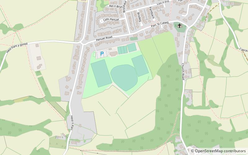 parc y dwrlyn ground cardiff location map