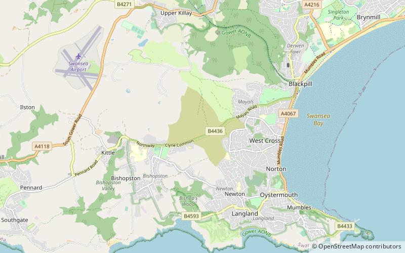 clyne common swansea location map