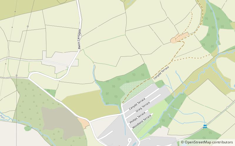 mynydd eglwysilan location map