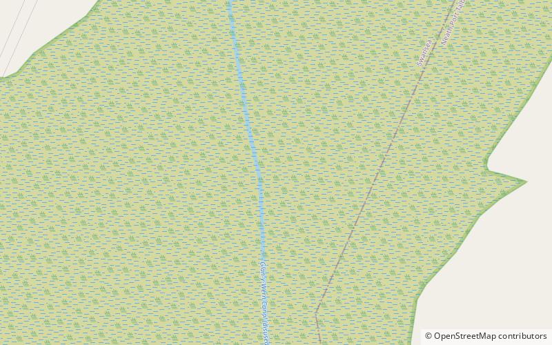 Crymlyn Bog location map