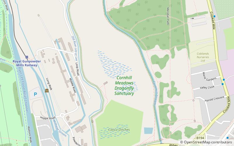 Cornmill Stream and Old River Lea location map