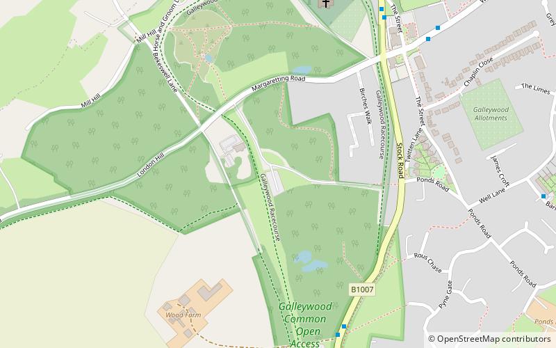 Galleywood Common location map